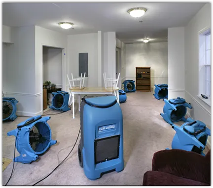 Drying & Dehumidification in Fort Valley, GA