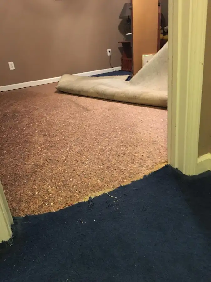 Carpet pad removal revealing water damage during Drying & Dehumidification in Fort Valley