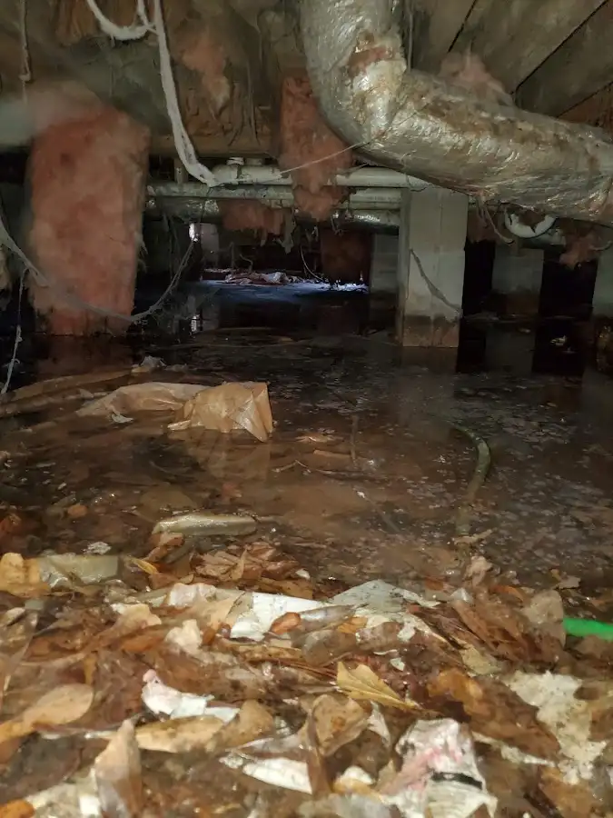 Crawl space flood assessment for Leak Detection & Repair in Fort Valley